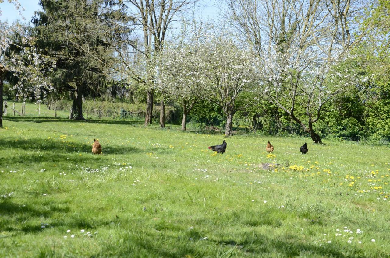 Hamac Et Potager Et D'hotes * La Chapelle-de-Bragny