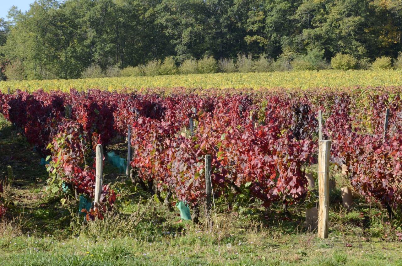 Hamac Et Potager Et D'hotes *