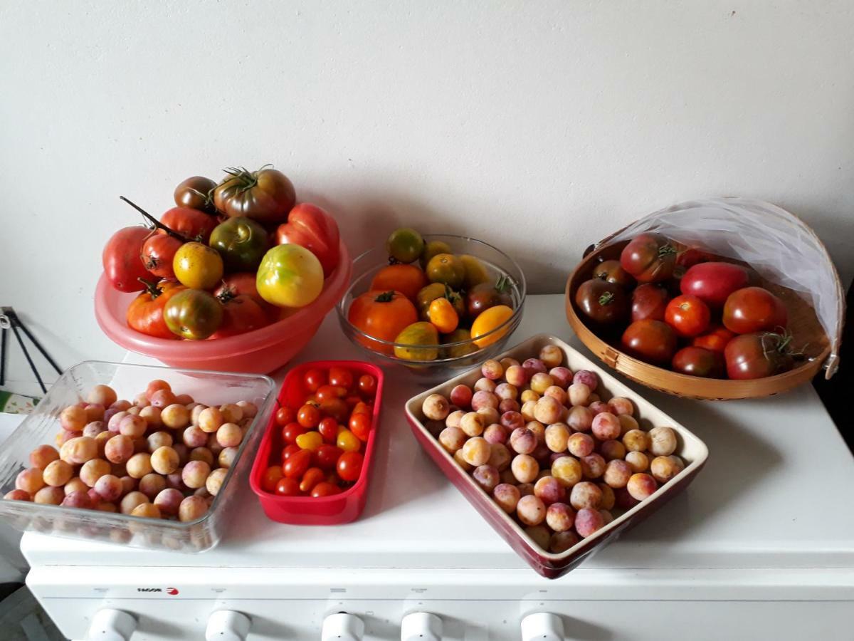 Hamac Et Potager Et D'hotes La Chapelle-de-Bragny