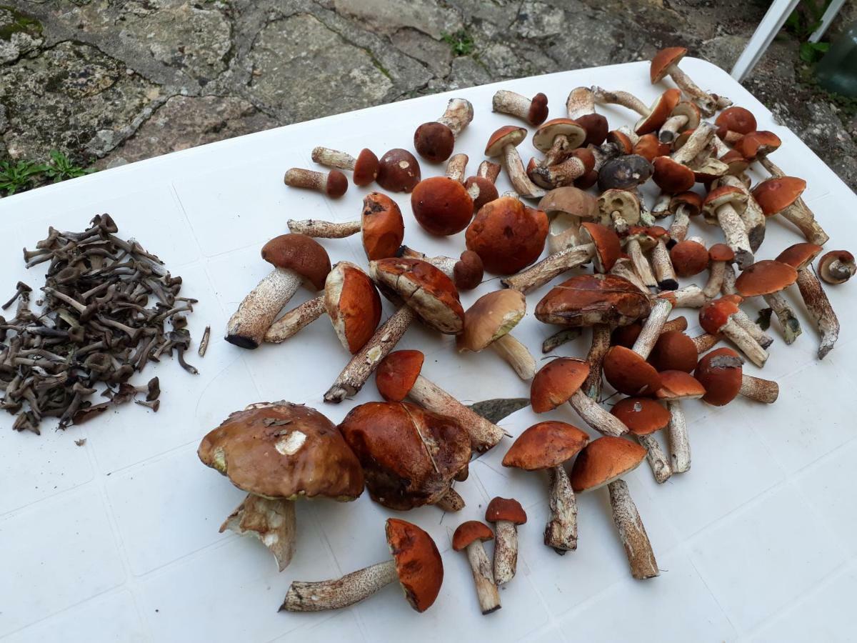 Hamac Et Potager Et D'hotes *